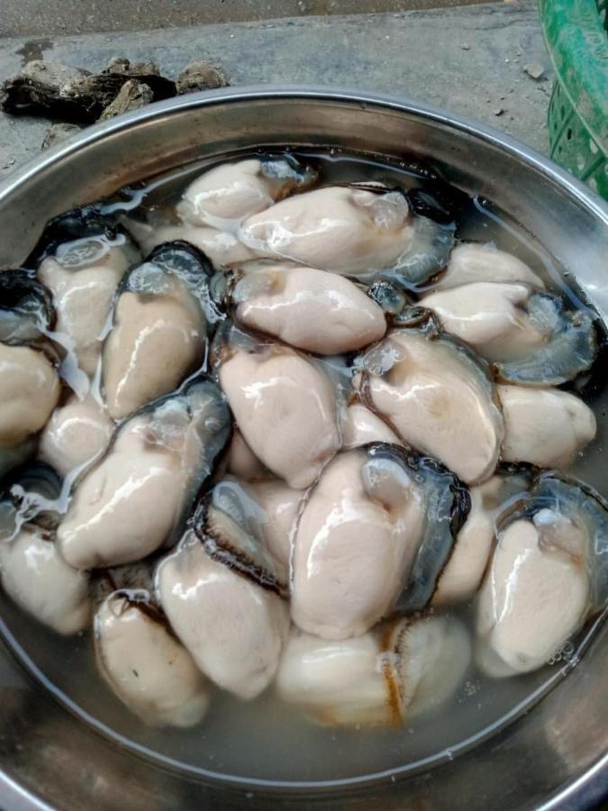 Thai Bao Hotel And Restaurant Chan Chau ภายนอก รูปภาพ